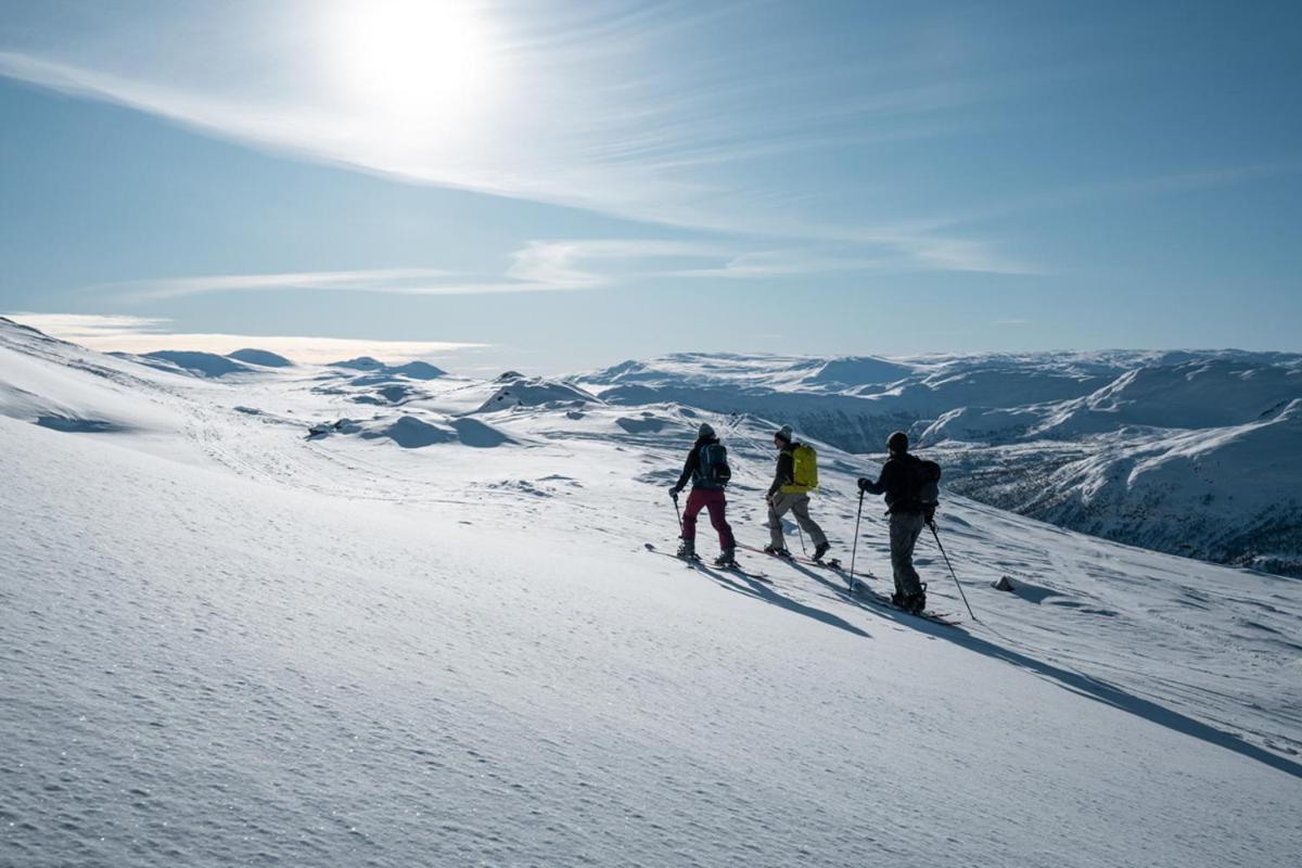 Harahorn Fjellgard Hotel Grøndalen Eksteriør billede