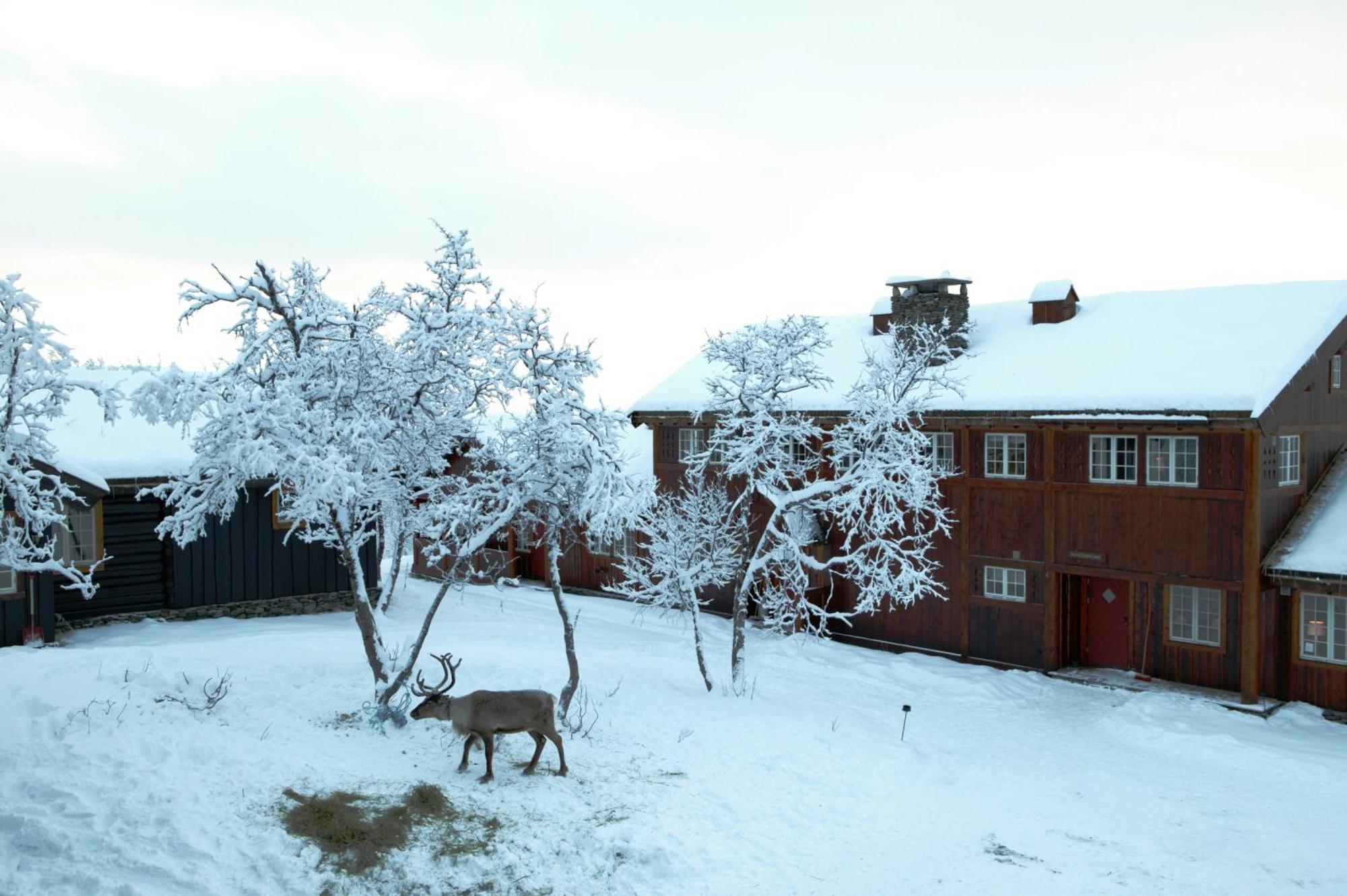 Harahorn Fjellgard Hotel Grøndalen Eksteriør billede