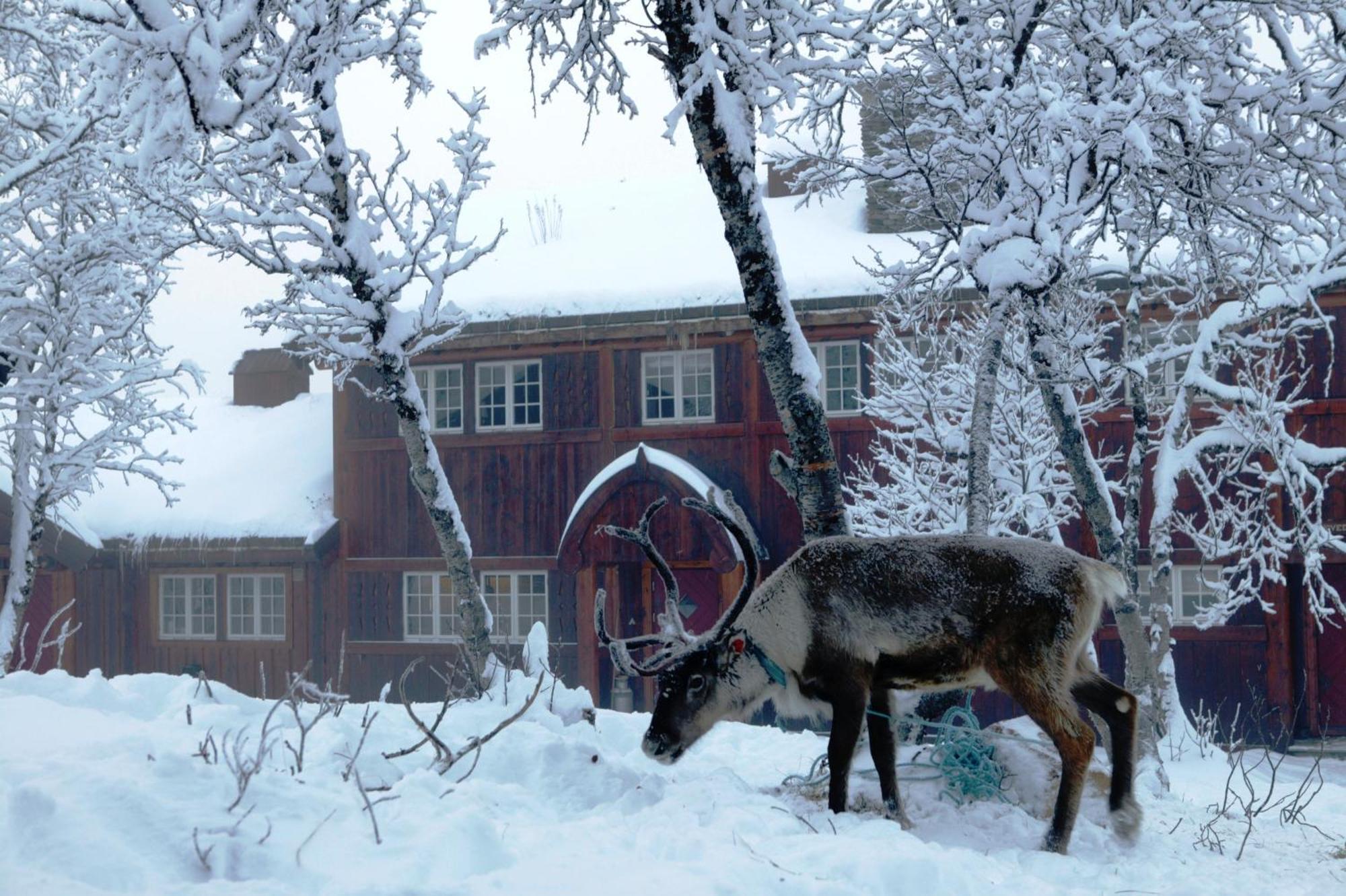 Harahorn Fjellgard Hotel Grøndalen Eksteriør billede